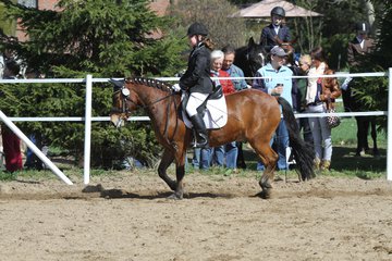 Bild 503 - WBO-Turnier am 9.4.11